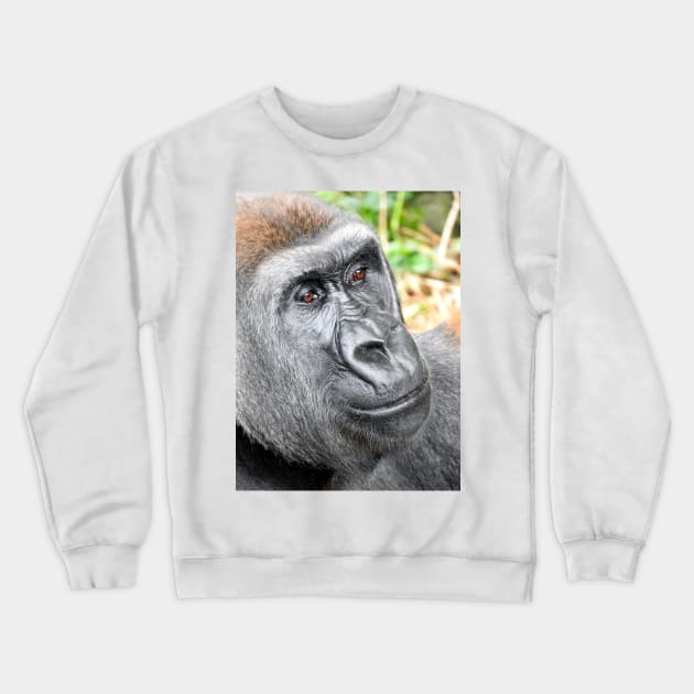 Gorilla Crewneck Sweatshirt by kirstybush